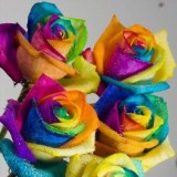 Your Choice Rainbow Roses 100 Stems